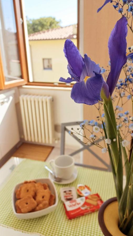 Casa Lilly Apartment Porto Sant'Elpidio